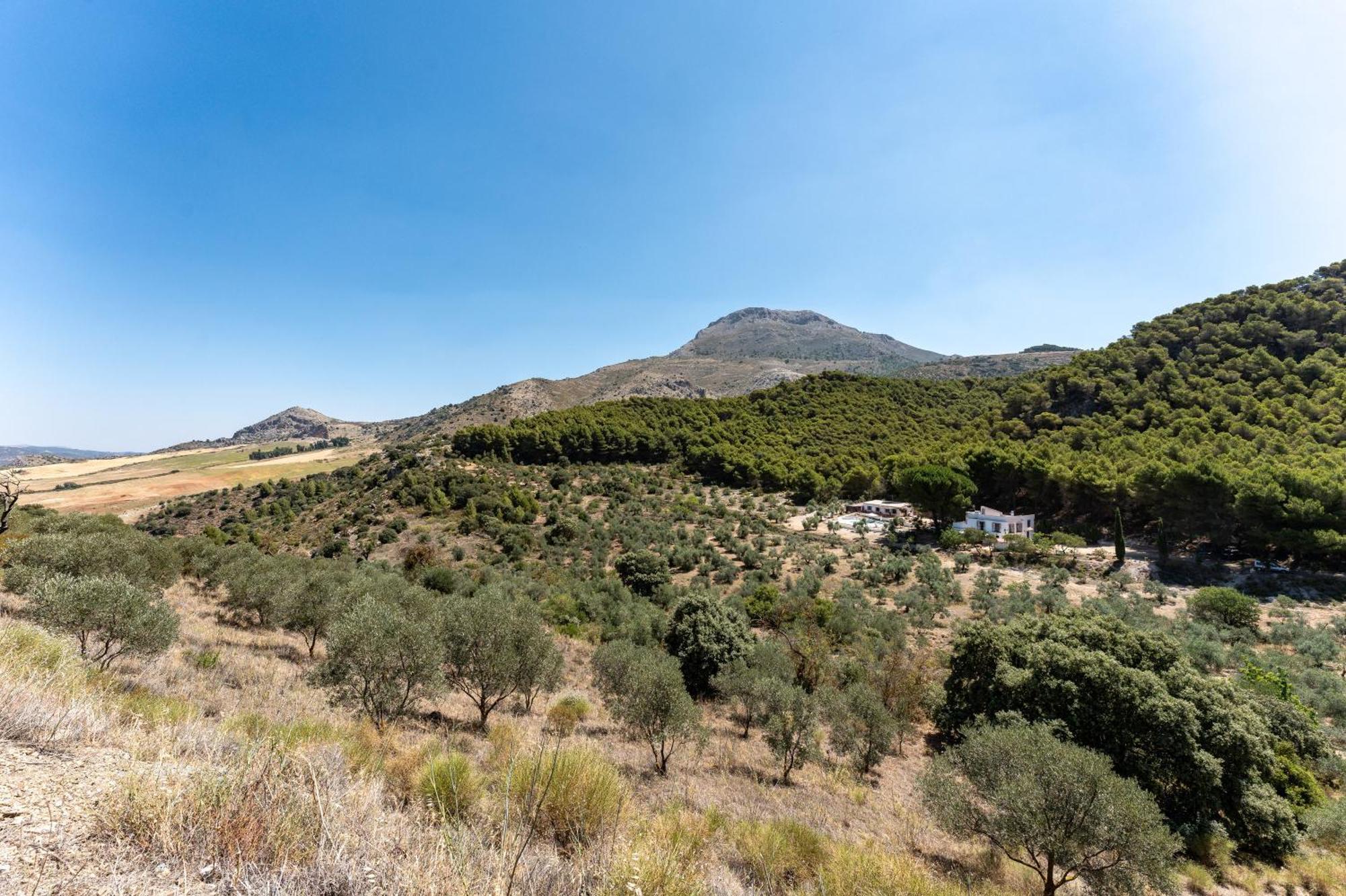 Cortijo La Zahurdilla Yunquera Dış mekan fotoğraf